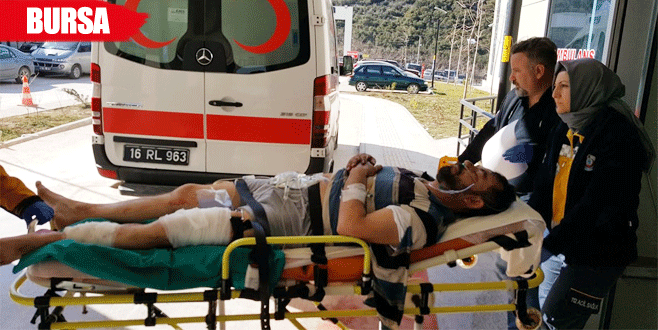 Zeytin fidanı çalan kardeşleri uyarınca tüfekle vuruldu