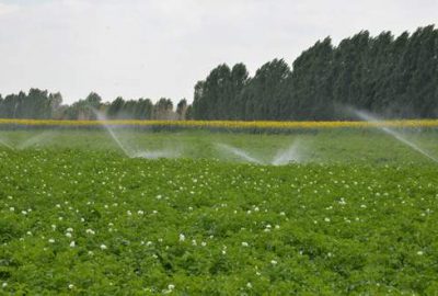 Yeşildere Barajı ile 39 bin dekar sulanacak