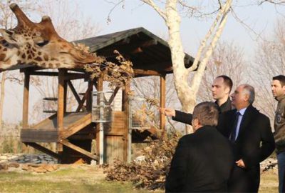 Bursa Hayvanat Bahçesi’ne fok ve penguenler geliyor