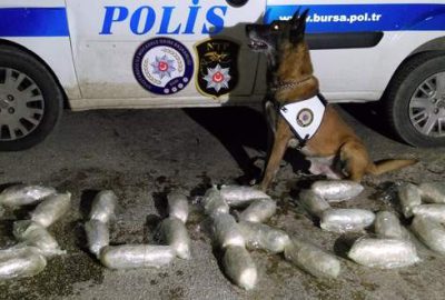 Zehir tacirlerine geçit vermediler