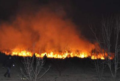 Bursa’da sazlık yangını