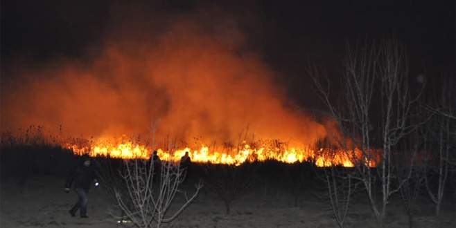 Bursa’da sazlık yangını