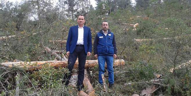 Orman İşletme Müdürlüğü 2016 hedeflerine ulaştı