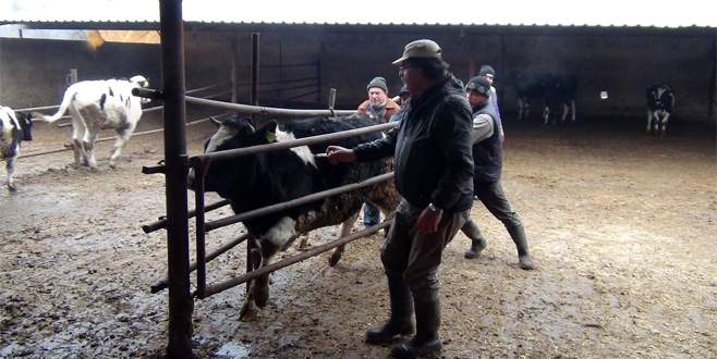 İnegöl’de karantina bitiyor