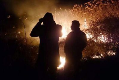 İznik Gölü sazlıklarında korkutan yangın