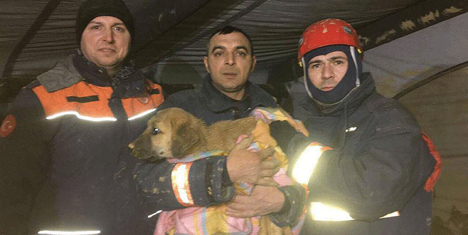 Kuyuya düşen köpek yavrusu 11 gün sonra kurtarıldı