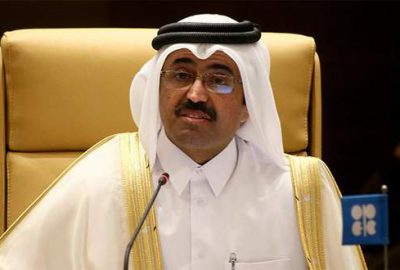 Katar’dan Türkiye’ye istediği kadar LNG