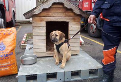 ‘Kuyu’ yeni yuvasında