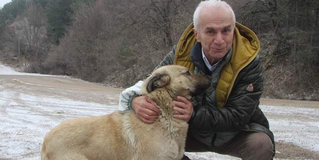 Uludağ’daki sahipsiz hayvanların babası