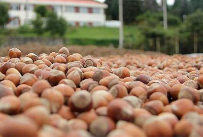 Üretici karlı çıkacaktır