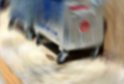 Şüpheli paketten cenin çıktı