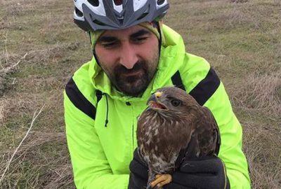 Yaralı şahini bisikletçiler kurtardı