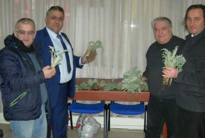 Mudanya’da 10 bin adet enginar fidesi dağıtılacak