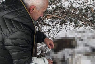 Yavru köpekleri o halde görünce gözyaşlarına boğuldu