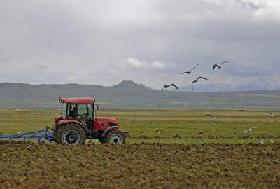 Elektrik borcu olan çiftçiye destek verilmeyecek