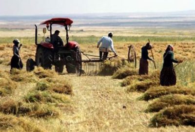 Çiftçilere 2,1 milyar lira