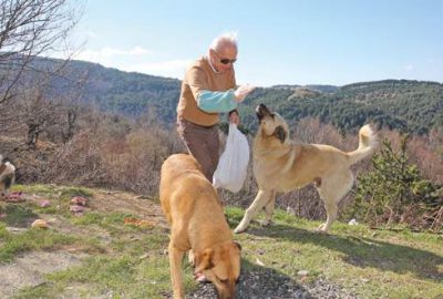 Hayvanlar onun yolunu gözlüyor