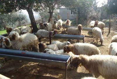 Orman köylülerine 41 milyon 768 bin liralık katkı