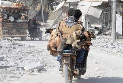 El Bab’ı terk eden aileler ilçeye dönmeye başladı