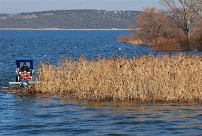 Gölyazı sazlıklardan temizleniyor