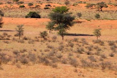Ülke genelinde ulusal felaket ilanı
