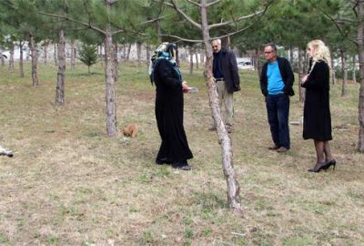 Kedilerin mama kaplarını yıktılar