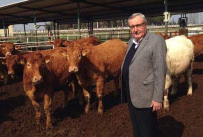 Et fiyatlarını düşürecek formül