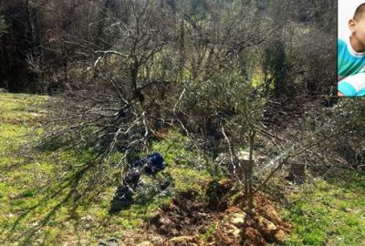 Kestiği ağacın altında kaldı