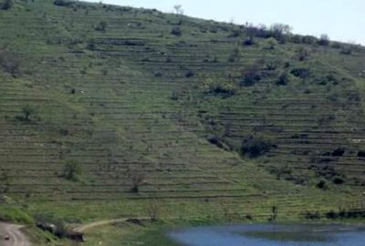 Baraj havzaları yeşillendi