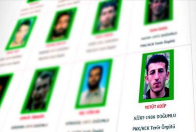 ‘Yeşil kategori’de aranan terörist etkisiz hale getirildi