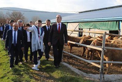 Büyükşehir desteğiyle dağ yöresinde hayvancılık gelişiyor