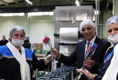 ‘Kadına şiddet değil zeytin dalı yakışır’