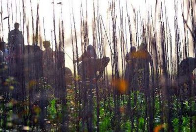 Tarım işçilerinin ücretleri arttı