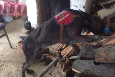 Bursa’da jandarmadan nefes kesen uyuşturucu operasyonu