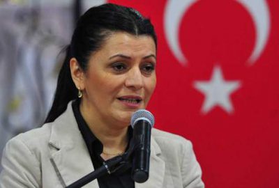 ‘Anayasa değişikliği milletimizin meselesi’