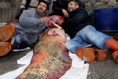 İznik Gölü’nde yakalanan 100 kiloluk yayın şaşırttı