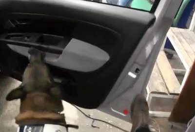 Bursa’da uyuşturucu operasyonu