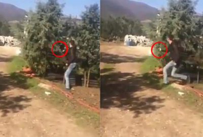 Bursa’da köpeğe silahlı saldırı kamerada