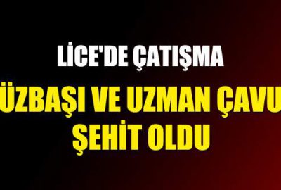 Lice’de çatışma: 2 şehit, 6 PKK’lı öldürüldü