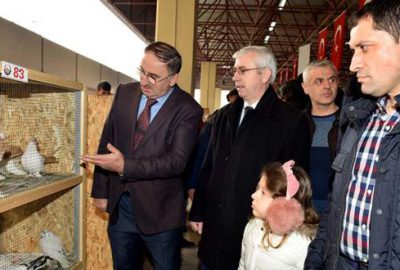 Mustafakemalpaşa’da Güvercin Festivali