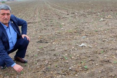 Son yağmurlar çiftçiyi sevindirdi