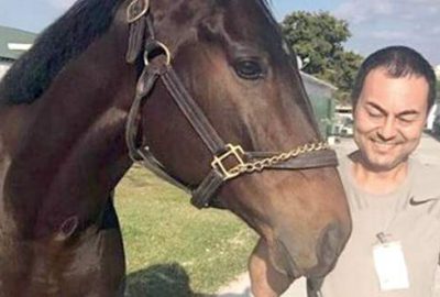 Yarış atı sevinci