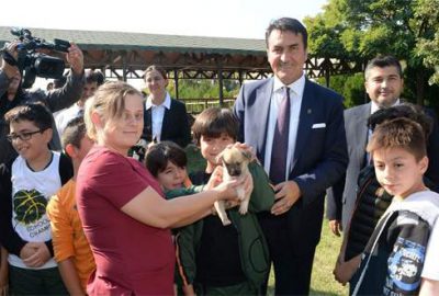 Osmangazi Belediyesi 2 ayda 926 hayvana sahip çıktı