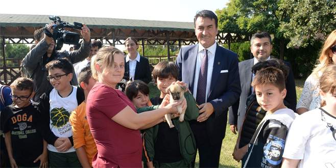 Osmangazi Belediyesi 2 ayda 926 hayvana sahip çıktı