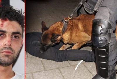 Hollanda polisinin köpekli saldırısına uğrayan Hüseyin Kurt Türkiye’de
