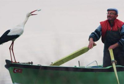 Leylek ile Bursalı balıkçının hikayesi film oluyor
