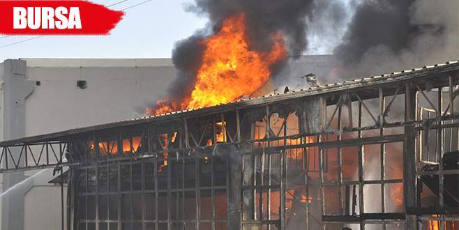 Mobilya fabrikası küle döndü