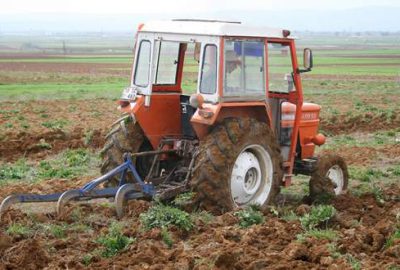 Bölgeye göre ayçiçeği ekimi