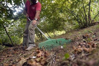 Gübre analiz fiyatları belirlendi
