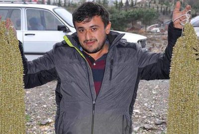 Kurutulmuş bamya altınla yarışıyor